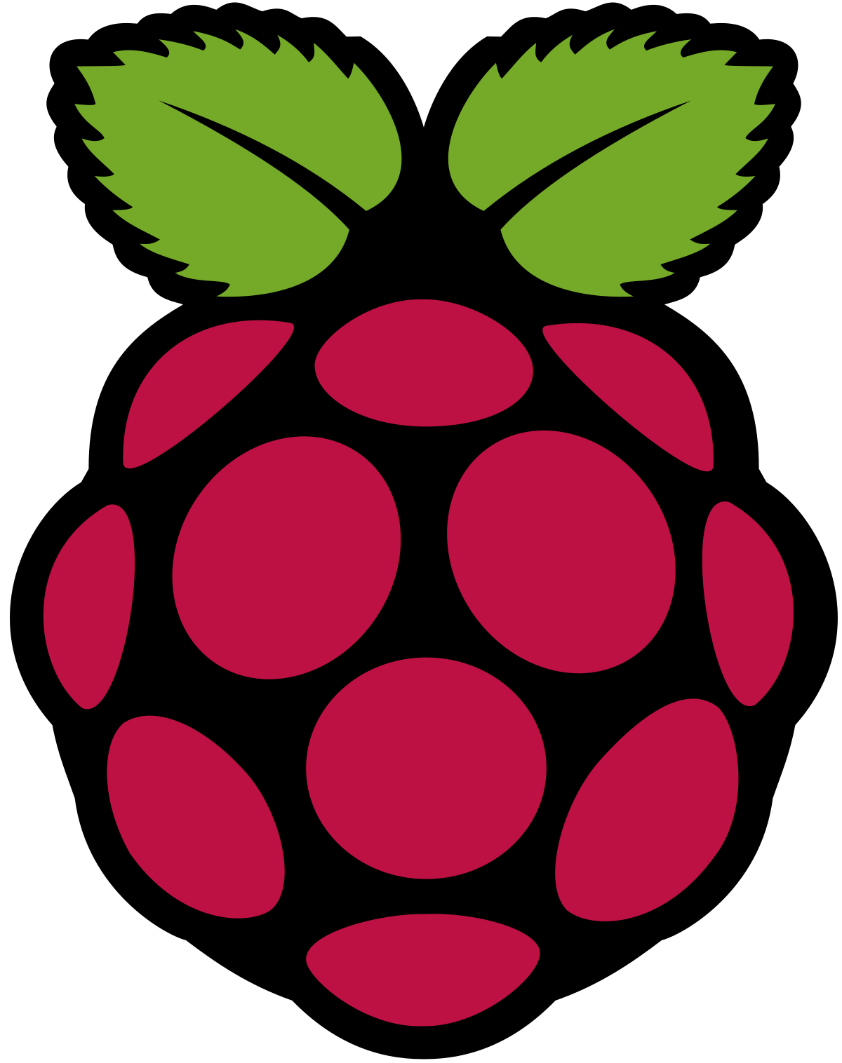 Fixing PyCharm Terminal on RPi4